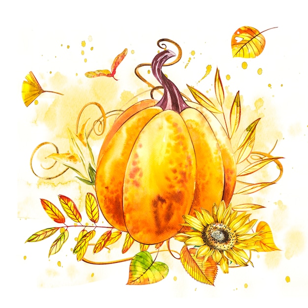 Pumpkin. Hand drawn watercolor painting on white. Watercolor illustration with a splash. Happy Thanksgiving Pumpkin.