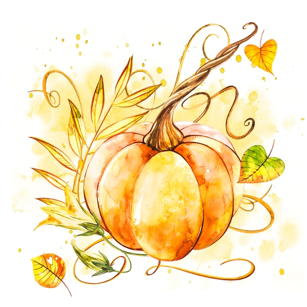 Pumpkin. Hand drawn watercolor painting on white . Watercolor illustration with a splash.