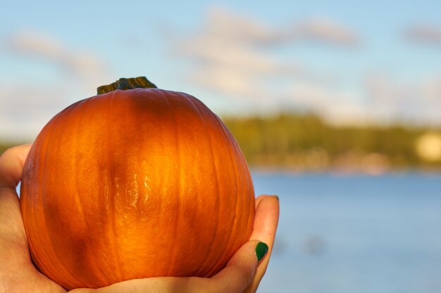 Pumpkin in hands with lake on the background.