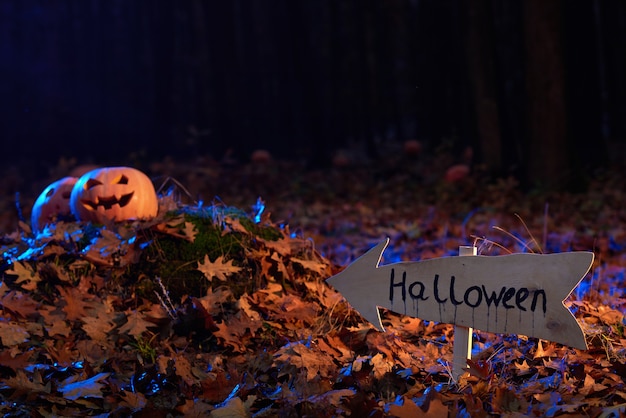 Pumpkin head on a pile of autumn leaves