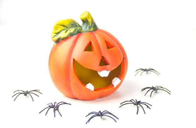 Pumpkin head and spiders on a white background The Concept Of Halloween