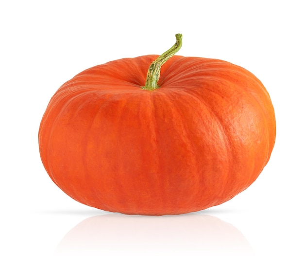 Pumpkin isolated on white background Design element