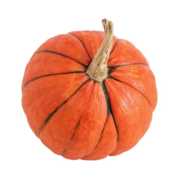 Pumpkin isolated on white background orange ripe pumpkin