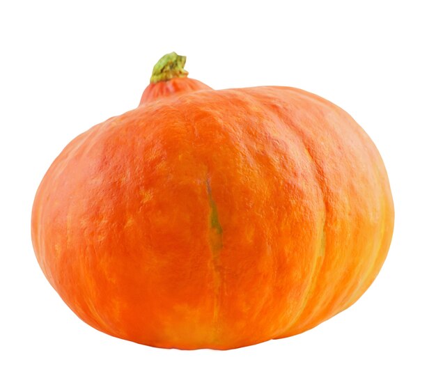 Pumpkin isolated on white background without shadow symbol of the autumn holiday Halloween