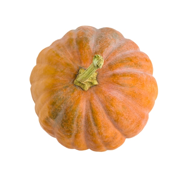 Pumpkin isolated on a white surface.