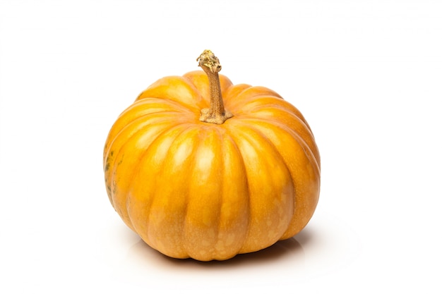 Pumpkin isolated on white