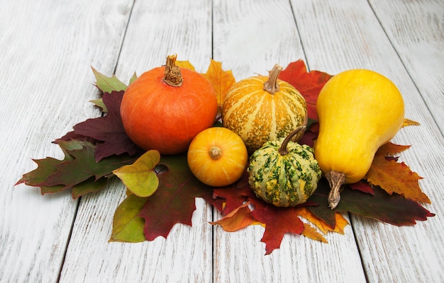 Pumpkin and leaves