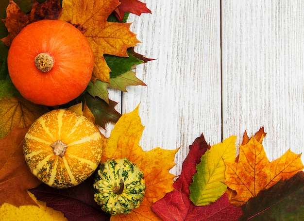 Pumpkin and leaves