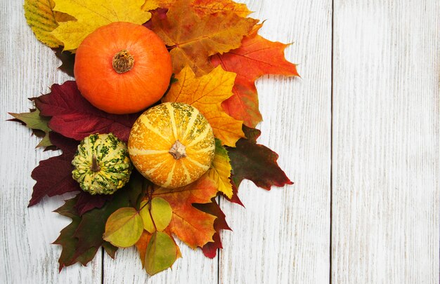 Pumpkin and leaves