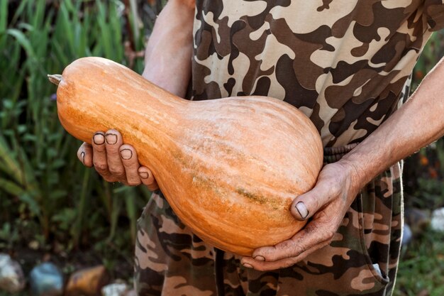 男性の手、菜食主義の秋の背景にカボチャ。