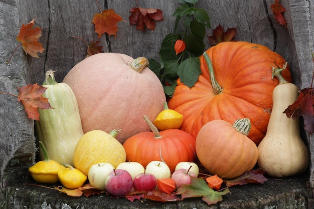 pumpkin mix on a wooden background