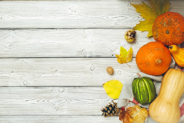 Zucca sul vecchio tavolo di legno rustico.