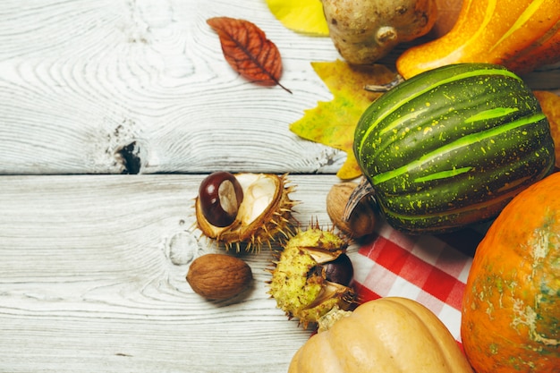 Pumpkin on old rustic wooden table.