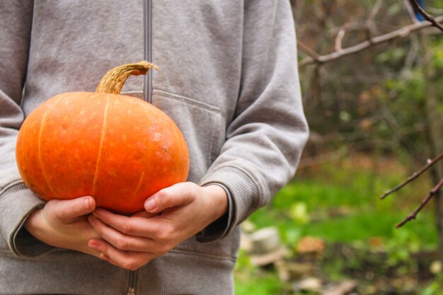 Zucca di frutta matura e fresca