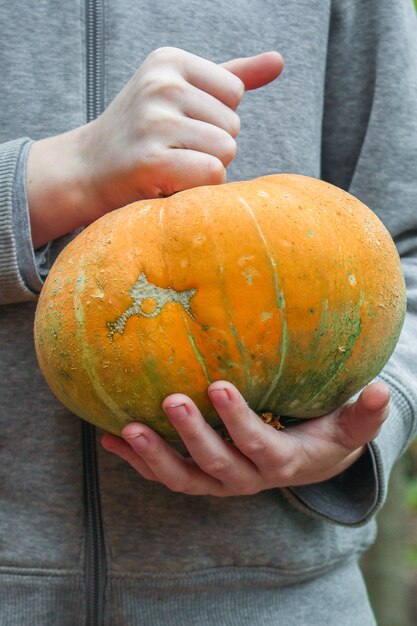 カボチャ熟した新鮮な果物