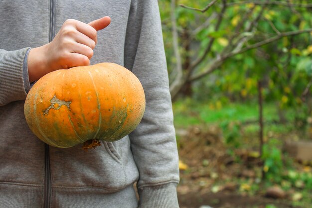 pumpkin ripe and fresh fruit