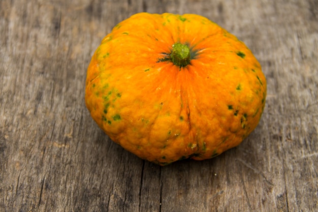 Photo pumpkin on the rustic wooden table