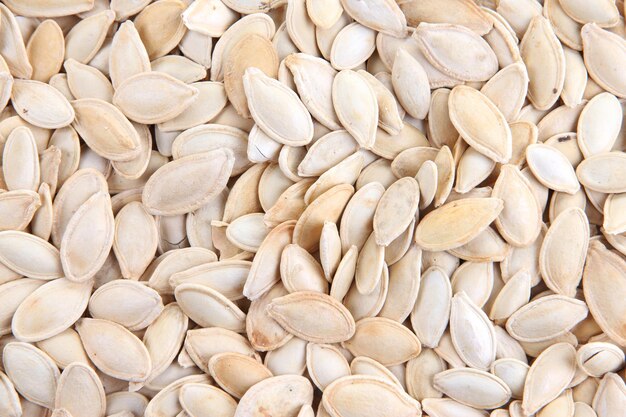 Pumpkin seeds close up