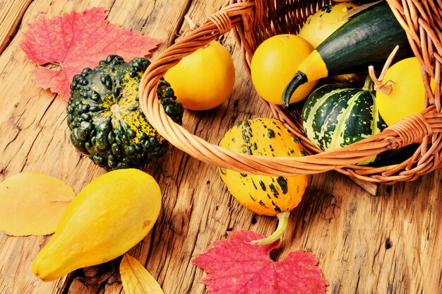 Pumpkin set in basket