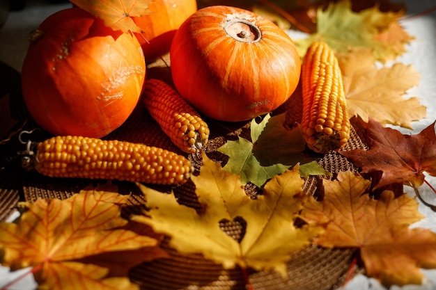 Pumpkin, Squash. Happy Thanksgiving Day Background. Autumn Thanksgiving Pumpkins