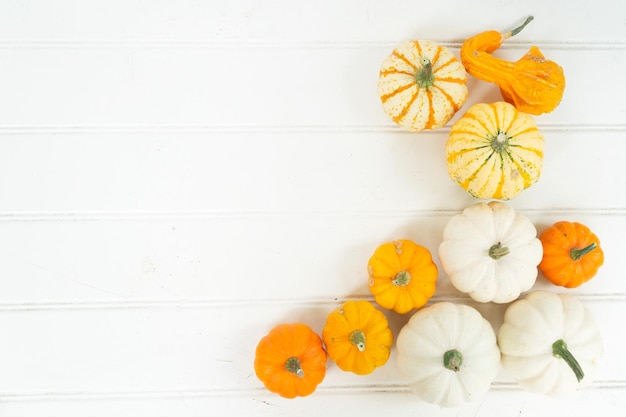 Pumpkin on table