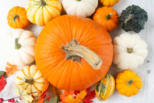 Pumpkin on table