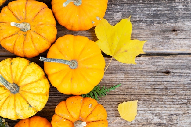 Pumpkin on table