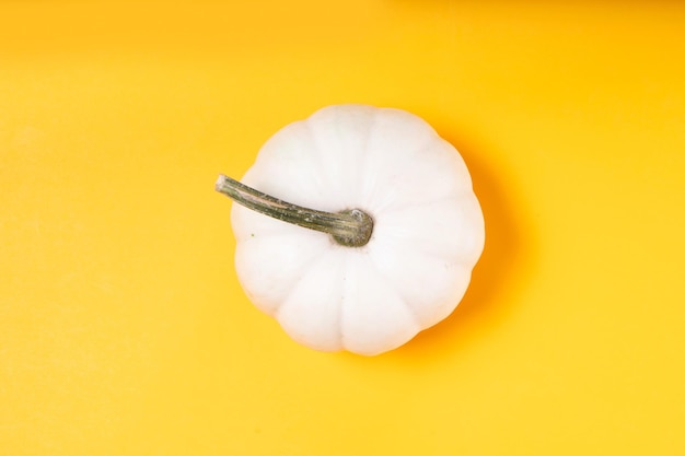 Pumpkin on table