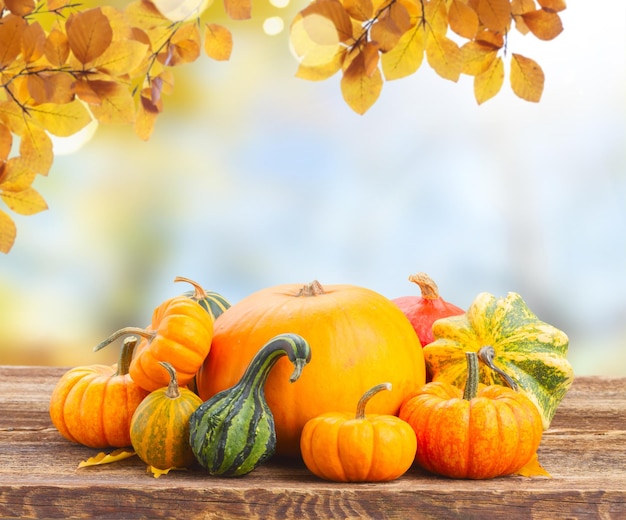 Pumpkin on table