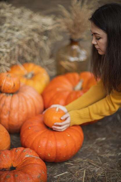 The pumpkin tradition carving decorating and celebrating halloween