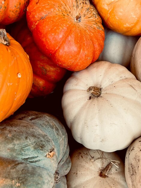 The pumpkin tradition carving decorating and celebrating halloween