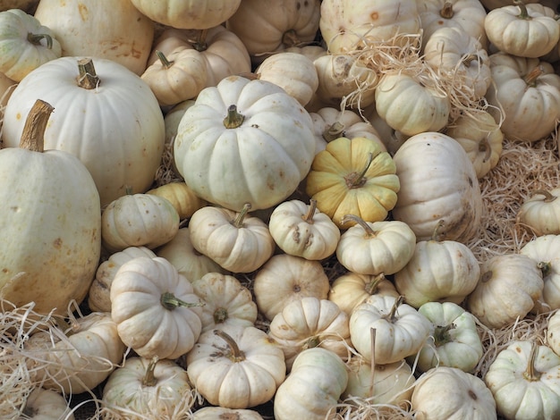 カボチャ野菜食品