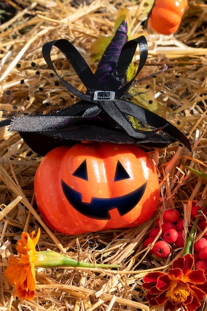 Pumpkin wearing a Witch's hat for the holiday of Halloween head jack lantern