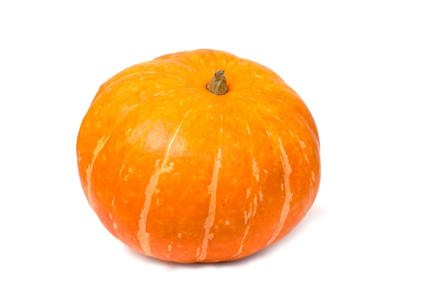 Pumpkin on white background Fresh and ripe