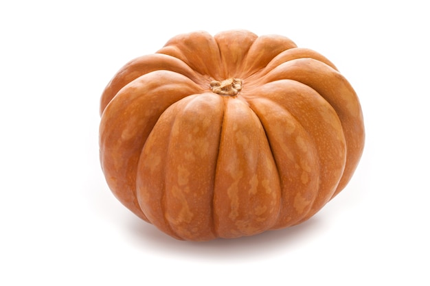 pumpkin on white background