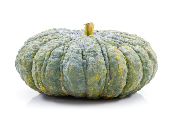 Zucca su sfondo bianco