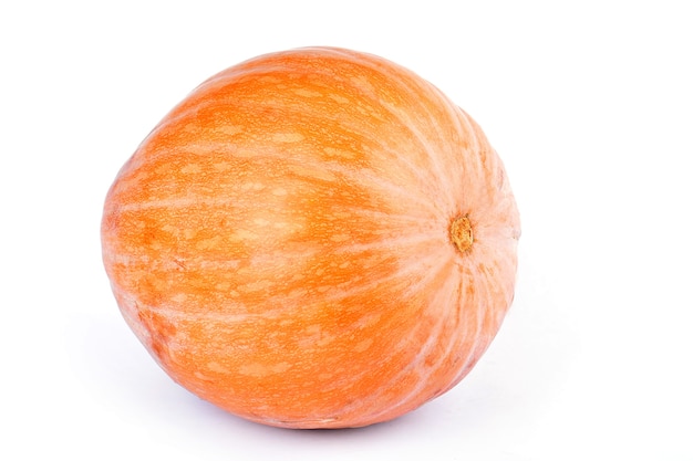 Pumpkin on white background