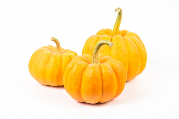 Pumpkin on white background