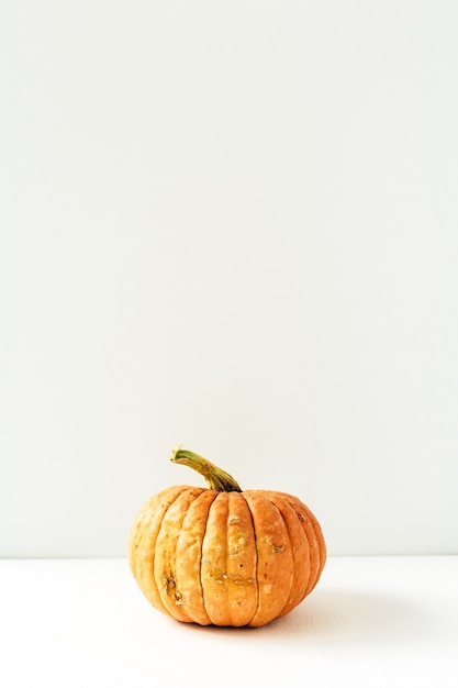 Pumpkin on white surface