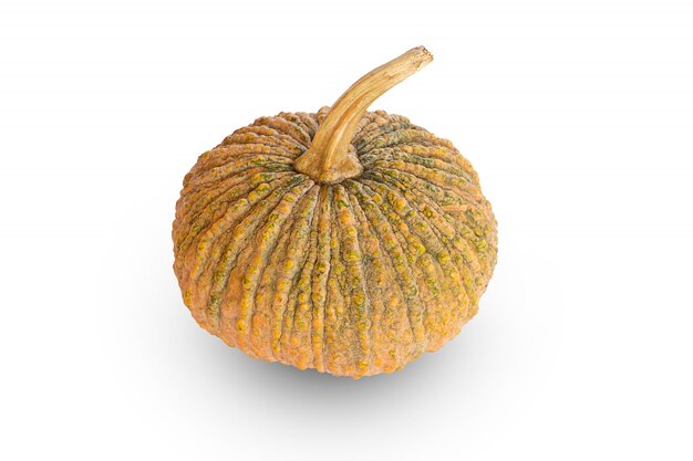 Pumpkin on white