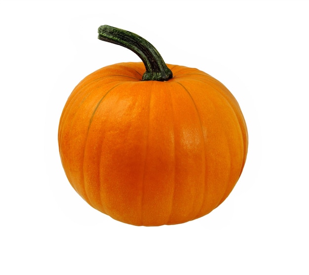 Pumpkin on white