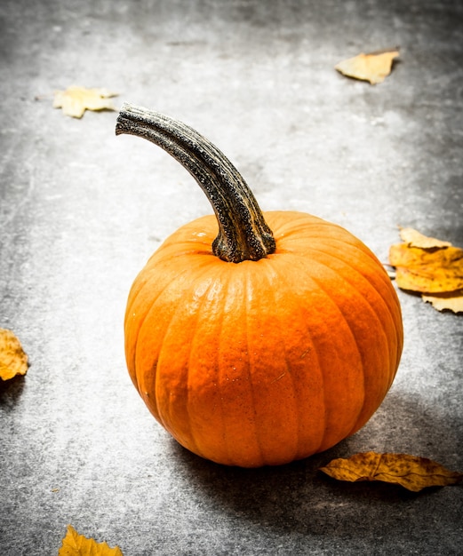 Pumpkin with autumn leaves