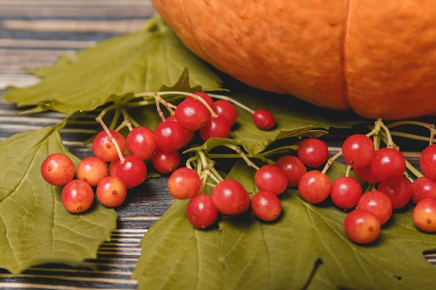 Pumpkin with berries on wooden background