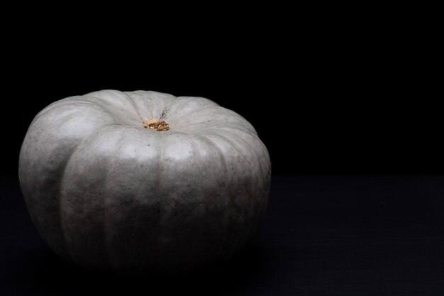 pumpkin with black background with space for text