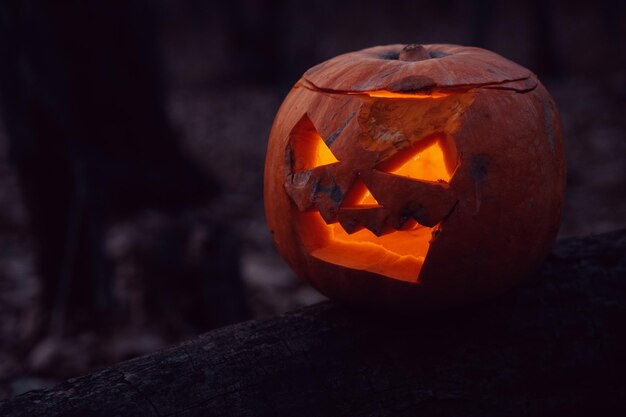 Pumpkin with a carved face in the forest