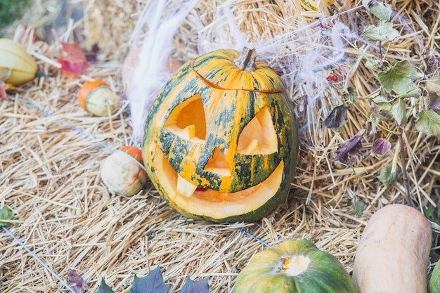 pumpkin with a carved face lies near the cobwebs and straw for Halloween