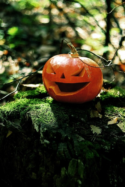A pumpkin with a carved smiling face stands on a moss-covered stump. Halloween autumn mood