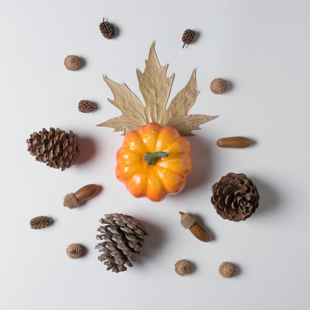 Pumpkin with cones and leaves decorations