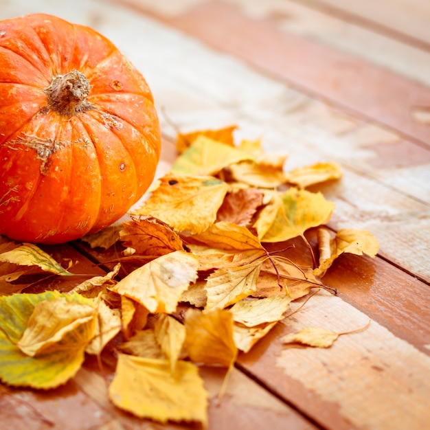 Pumpkin with fallen autumn leaves on shabby wooden floor. Toned, soft focus.