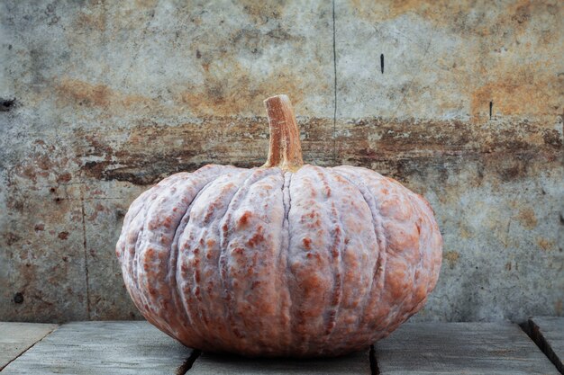 Pumpkin with the old wall.